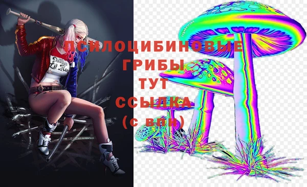 дживик Алзамай
