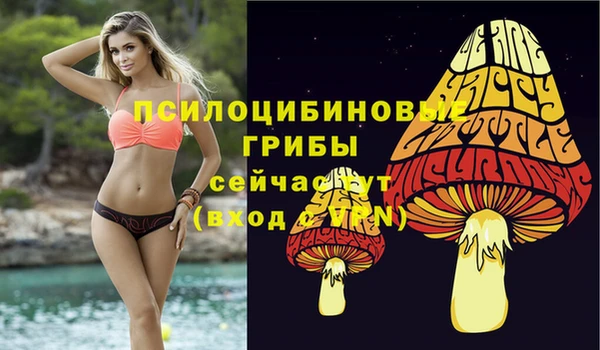 дживик Алзамай