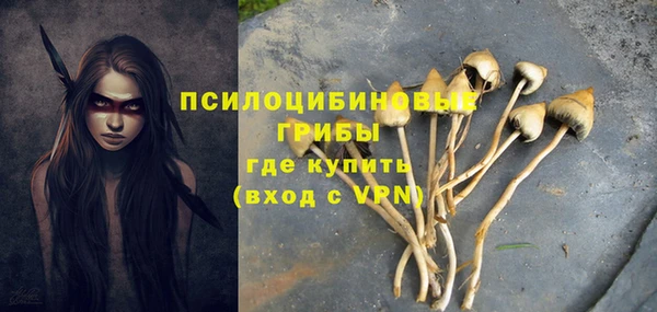амфетамин Алексин